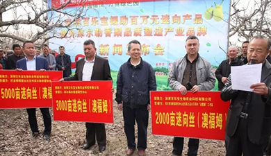 【一份援疆情，萬畝綠色園】 澳福姆迷向絲助力庫爾勒香梨產(chǎn)業(yè)升級